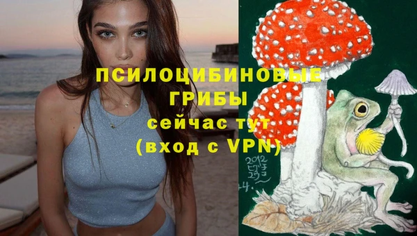 марки nbome Аркадак
