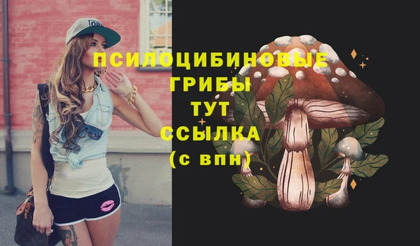 дживик Арсеньев